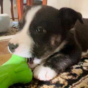 Meet your Posher, Yeji